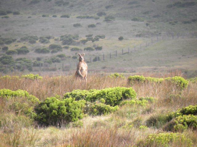 capebridgewaterwalk34.jpg